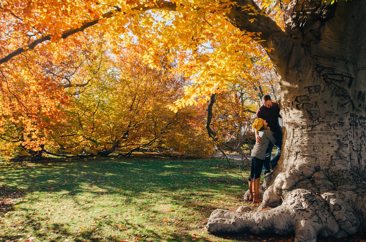 couple under fall tree