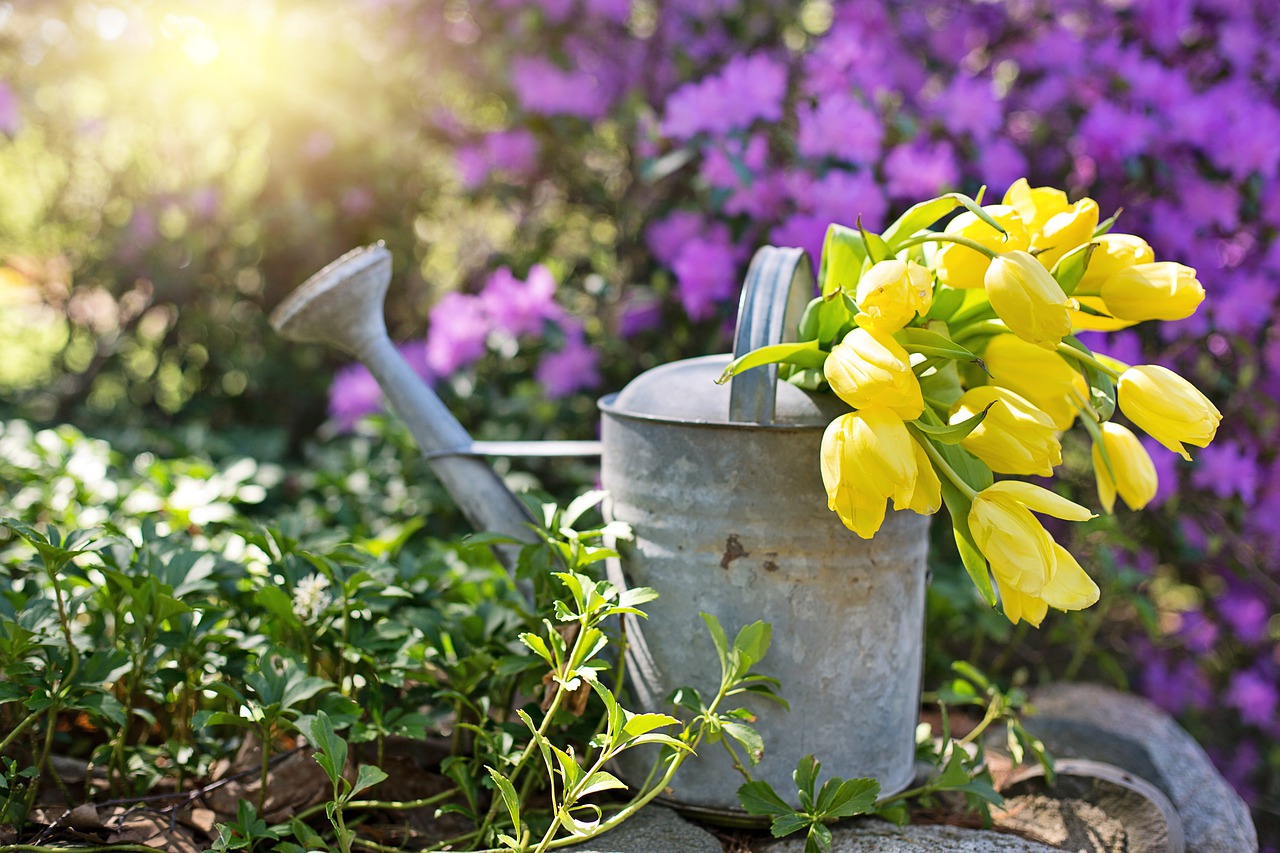 spring watering can